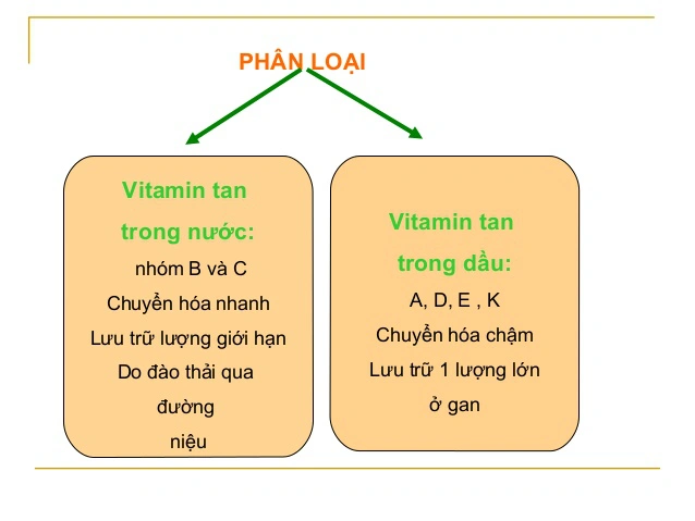 Phân loại các loại vitamin tan trong nước và tan trong dầu